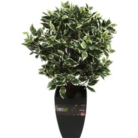 New 1pce 65cm Ficus Fig Tree Realistic Artificial Pot Plant Greenery Style Fake