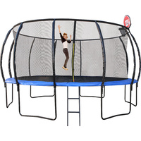16FT/488CM TRAMPOLINE W/LADDER /SHOE BAG/BASKETBALL HOOP 4CTN