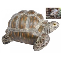 60cm Realistic Tortoise Statue for Garden or Home