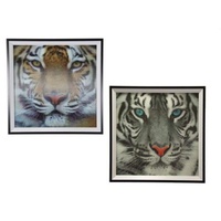 2pce 33cm Square White & Orange Tiger 3D Framed Prints Stunning Faces TIGER3D