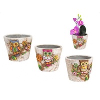 12cm Cute Owl Garden Herb Plant Pots Complete Story of 3pce