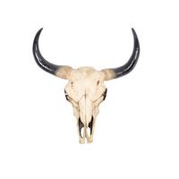 44cm Resin Artificial Cow Skull, Realistic Bohemian Style, Wall Art Hangable