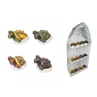 1 x 9cm Resin Baby Turtle in Half - Broken Shell, 4 Assorted Colours, Great for Home or Work