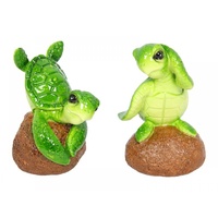 1 x 12cm Funny & Cool Green Turtle on a Sandy Rock, 2 Assorted Designs, Great for Home or Work
