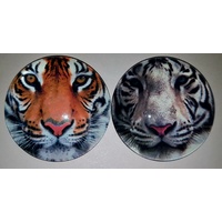 1pce 5cm Glass Tiger Magnet 2 Assorted Colours