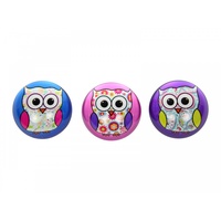 8cm Glass Paperweight with Cute Owl, Home or Office