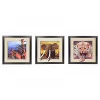 1x 40x40cm 5D Animal Picture Frame, Animal moves out of the Frame
