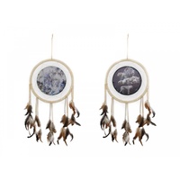 33cm Tiger Design Dream Catcher, Comes in Two Designs, Home Deco
