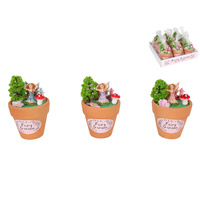 1pce Fairy Garden Display Pot Novelty Collectables