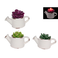 1pce 10cm Candle Cactus Imitation in Ceramic Water Can Pot