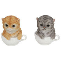 1pce 15cm Fat Cat in Teacup, Cute Figurine Collectable