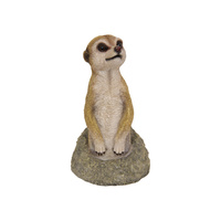 27cm Meerkat Coming out of the Ground on Allert