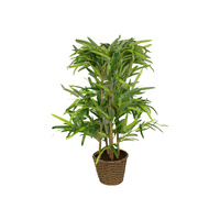 New 1pce 75cm Bamboo Artificial Plant in Whicker Pot Styling