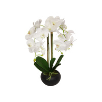 New 1pce 69cm White Orchid Realistic Looking / Artificial