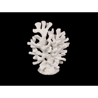 36cm White Staghorn Coral Decoration Piece Beach Decor - Resin Artificial