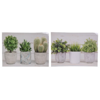 New 1pce 40x30cm Potted Pant Canvas Print Hamptons Style Two Assorted