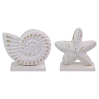 19cm Sea Snail or Starfish White Wood Shell Décor Shabby Chic Beach Themed Table