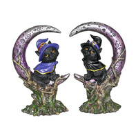 18.5cm Cat Witch Sitting, Black or Purple Cape, Mystical Moon On Stump Resin Cute Gift