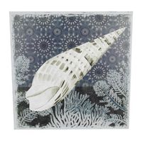 Canvas Print Nautical Sealife Cone Shell 50x50cm Stretched & Framed Ready to Hang