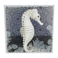 Canvas Print Nautical Sealife Seahorse 50x50cm Stretched & Framed Ready to Hang