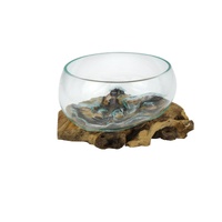 30x17cm Hand Blown Glass Bowl on Driftwood Base - Coastal Natural Home Decor