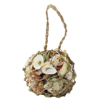 Bag of Mixed Beach Shells 200g in fish net style bag.