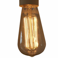 Edison vintage light bulb / globe industrial lamp, E27 screw 40 watt - ED005