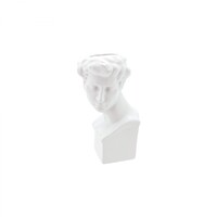 Male David Face Statue 16cm Ceramic Pot Planter for Herbs, Succulents, Flowers