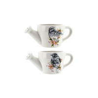 Bird Pots Watering Can 2 Asstd 18.5x10.5x8.5cm Ceramic Glazed, Planter & Herbs