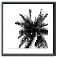 NEW 50CM x 50CM BLACK FRAME PRINT- BLACK AND WHITE COCO PALM