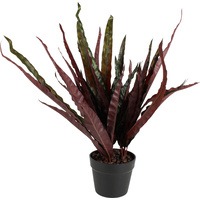New 1pce 50cm Calathea Insignis Peacock Plant Artificial Greenery Pot Leaves