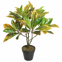 New 1pce 65cm Croton Tree Rushfoil Artificial Plant in Pot Gold Leaves Home Style Realistic