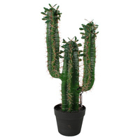 CACTUS IN PLASTIC POT 60CM