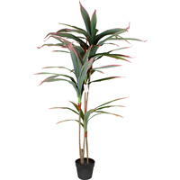 DRACAENA LEAVES IN PLASTIC POT 125CM