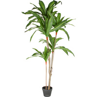 New 1pce 165cm Dracaena Plant in Pot Tall Tree Realsitic Artificial Greenery