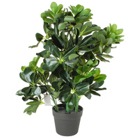 New 1pce 60cm Schefflera Arboricola Artificial Plant Pot Greenery Realisitc Look
