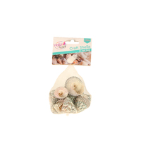 150g Pyramid Sea Shells in Net Bag, Craft Resin Art & Beach Home Decor
