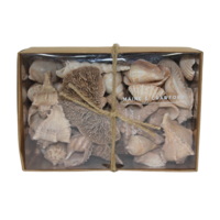 Maine & Crawford 18cm Dark Shells & Dry Mix in Gift Box, Beach House Decor