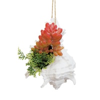 12cm Shell Hanging Planter, Boho Beach House Style with Succulent