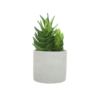 1pce 25x12cm Succulent with Cement Pot Artificial Plant Home Table Décor Greenery