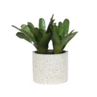 1pce 27x14cm Bromeliaed with Terrazzo Pot Artificial Plant Greenery Great Table Decor