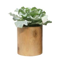 1pce Large Wavey Leaf Succulent Artificial Plant In Wooden Base Planter