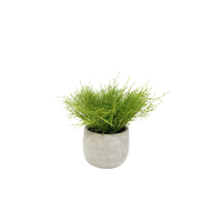 1pce 18cm Succulent in Cement Pot Artificial Plant Greenery Table Home Decor