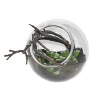1pce 13cm Succulent In Glass Vase Artificial Plant Display Home Décor