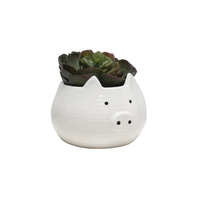 1pce 9x12cm Piggy Ceramic Planter Pot Cute Succulent Herb Holder