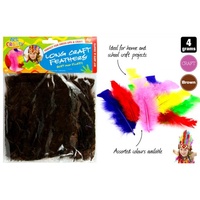 4g of 15cm Long Craft Feathers for Scrapbooking and Arts / Crafts