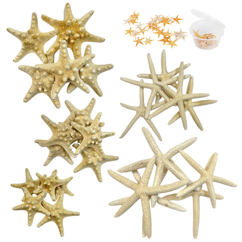 Mixed Natural Starfish 75pce Set with Horn, Finger & Mini Craft 6 Styles Bundle