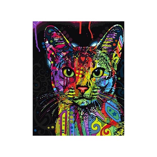 Bright Cat Abstract - Paint by Numbers Canvas Art Work DIY 40cm x 50cm