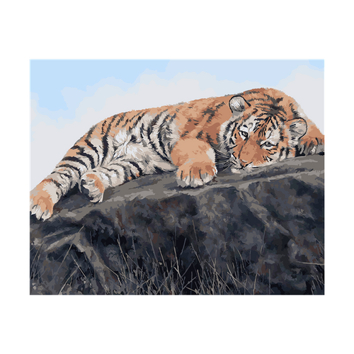 Tiger Resting on Rock Mountain Paint by Numbers Canvas Art Work DIY 40cm x 50cm