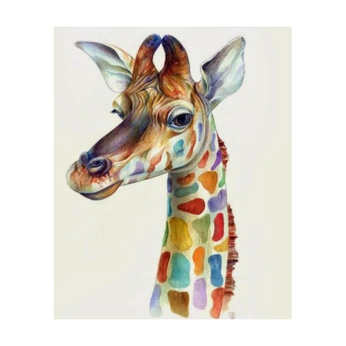 Rainbow Giraffe Head Paint by Numbers Canvas Art Work DIY 40cm x 50cm